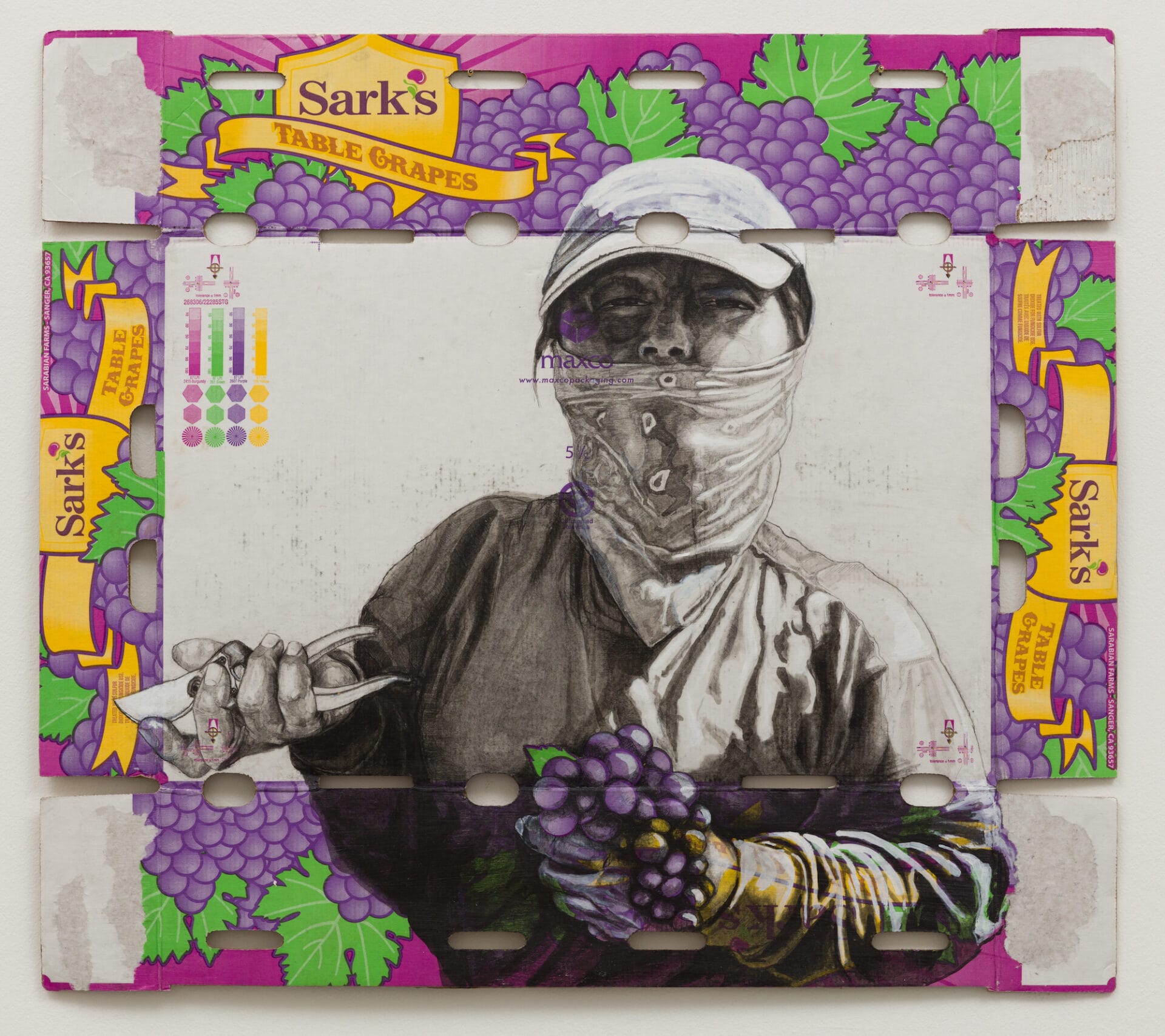 Collage by Narsiso Martinez on a recycled cardboard produce box. The image shoes a farm laborer holding a bunch of grapes and a pair of shears. The label on the box indicates that it once held fresh grapes.